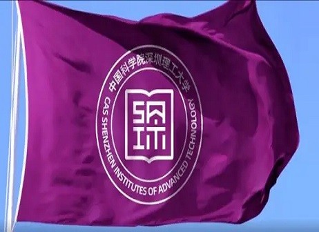 深理工 品牌營銷