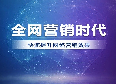 全網(wǎng)營銷